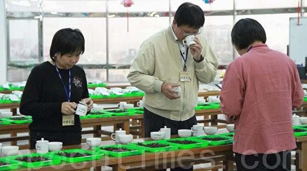 冬季东方美人茶评鉴 邓智先夺冠(1)