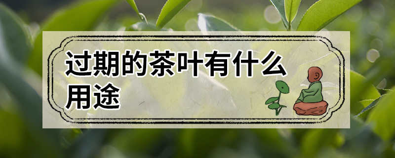 过期的茶叶有什么用途