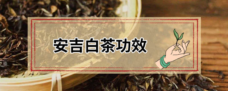 安吉白茶功效