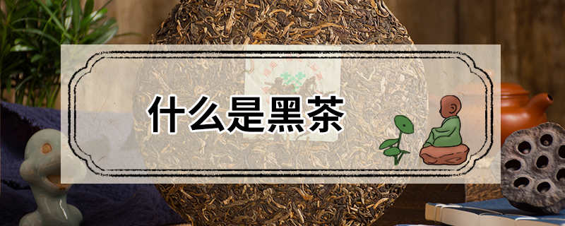 什么是黑茶