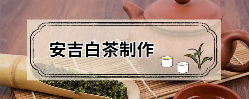 安吉白茶制作