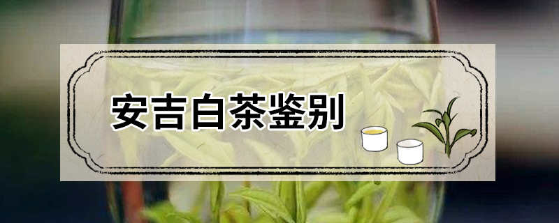 安吉白茶鉴别