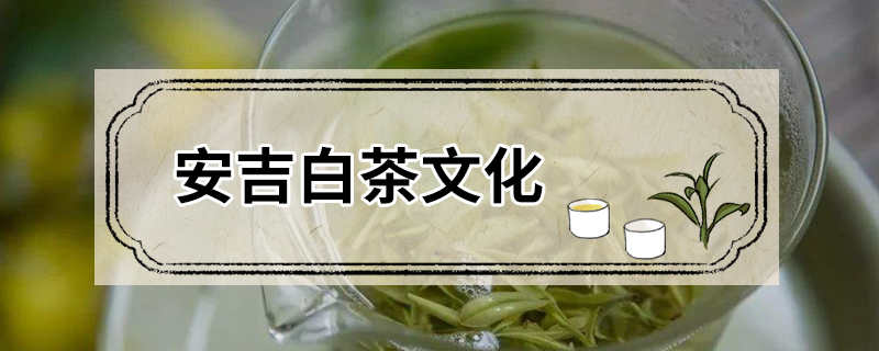 安吉白茶文化