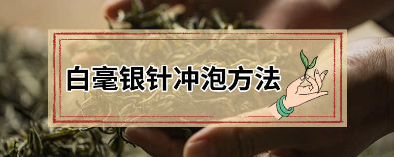 白毫银针冲泡方法