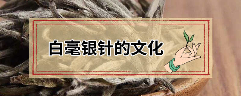 白毫银针的文化