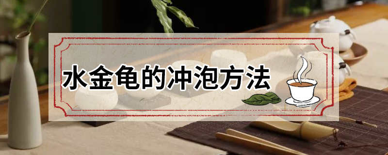 水金龟的冲泡方法