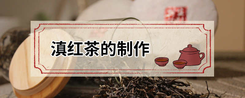 滇红茶的制作