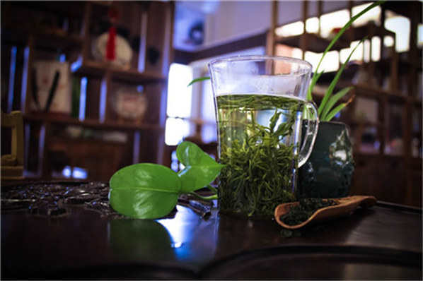 雨花茶是什么茶