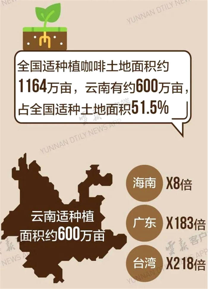 关于国务院批准景迈山古茶林文化景观2022年申遗的最新信息(6)