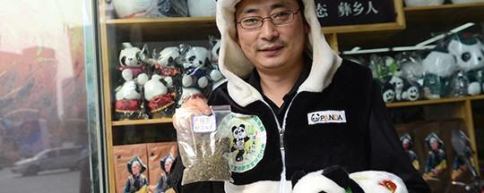 有关于四川安琰石将熊猫茶副茶变废为宝 车内净化熊猫饰品的热门信息