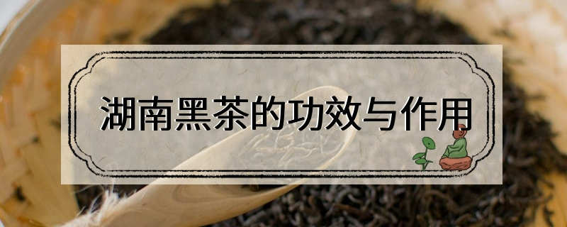 湖南黑茶的功效与作用