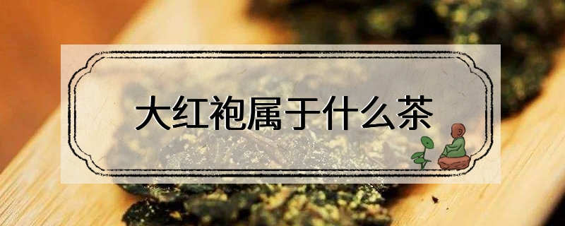 大红袍属于什么茶类