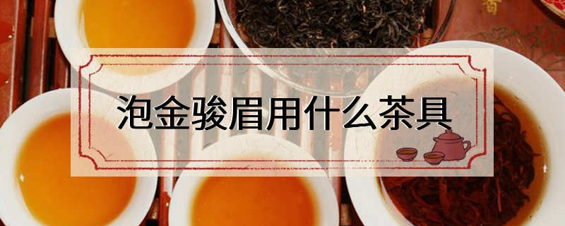 泡金骏眉用什么茶具