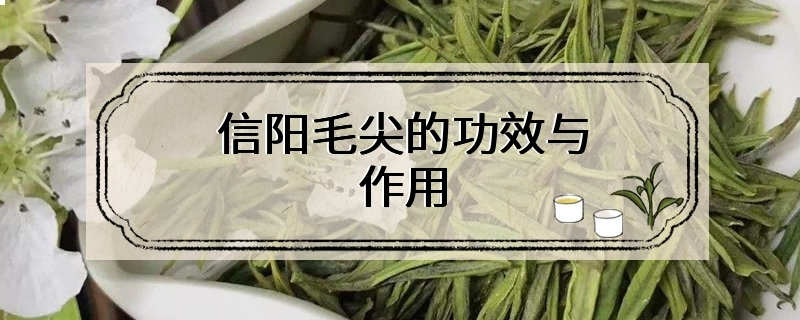 信阳毛尖的功效与作用