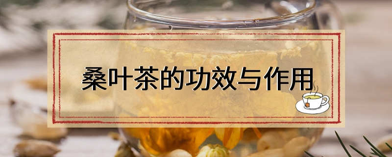 桑叶茶的功效与作用