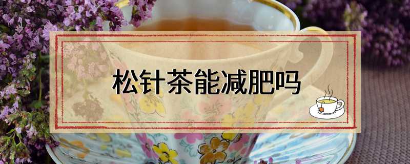 松针茶能减肥吗