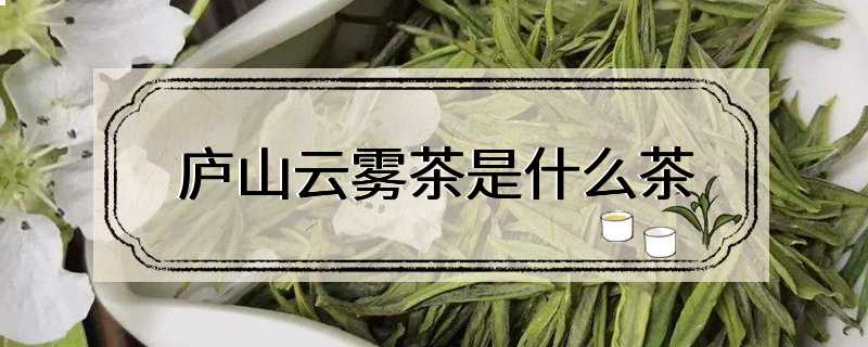 庐山云雾茶是什么茶