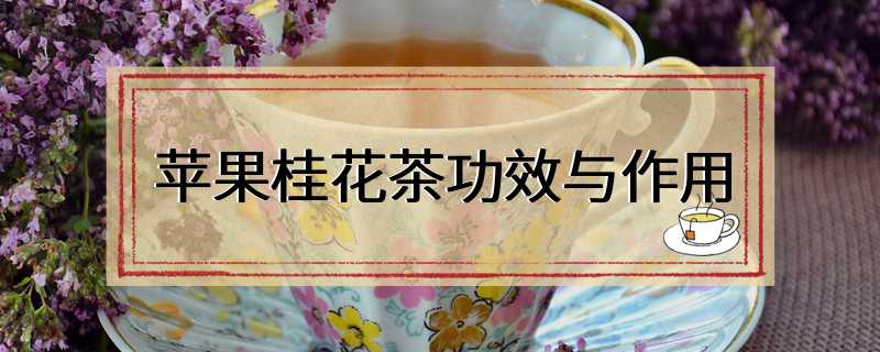 苹果桂花茶功效与作用