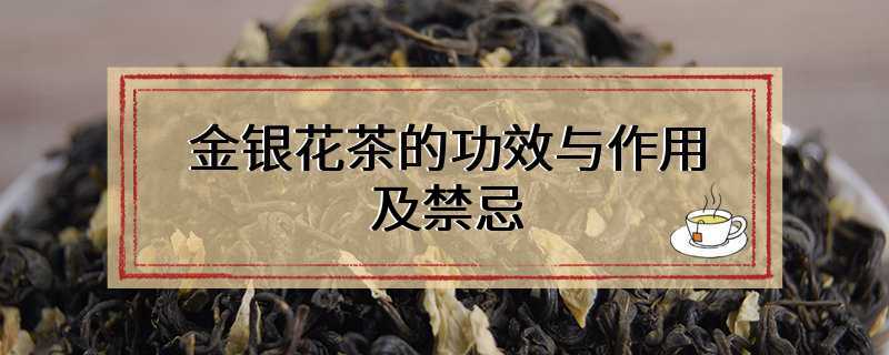 金银花茶的功效与作用及禁忌