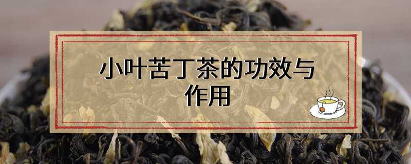 小叶苦丁茶的功效与作用