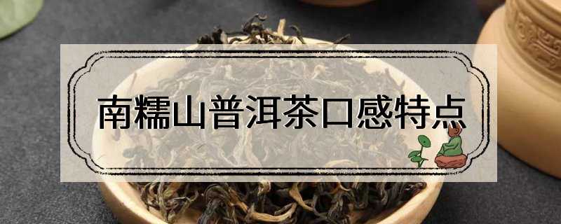 南糯山普洱茶口感特点