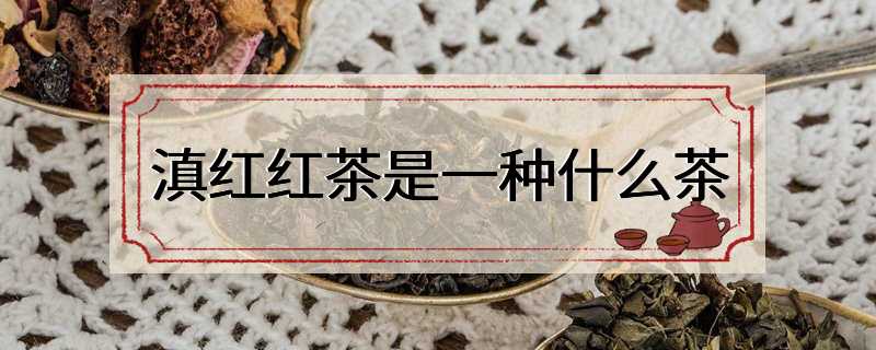 滇红红茶是一种什么茶