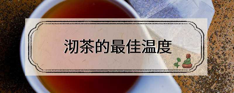 沏茶的最佳温度