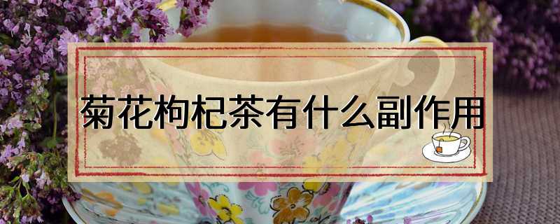 菊花枸杞茶有什么副作用