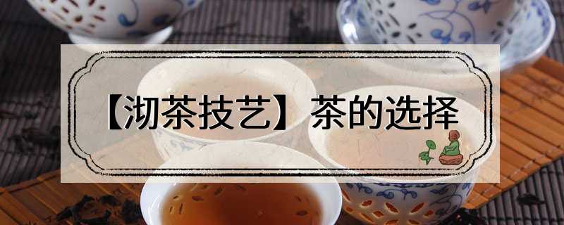 【沏茶技艺】茶的选择