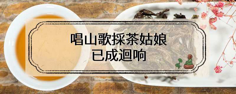 唱山歌採茶姑娘已成迴响 72岁採茶阿公:「老人工，加减赚」