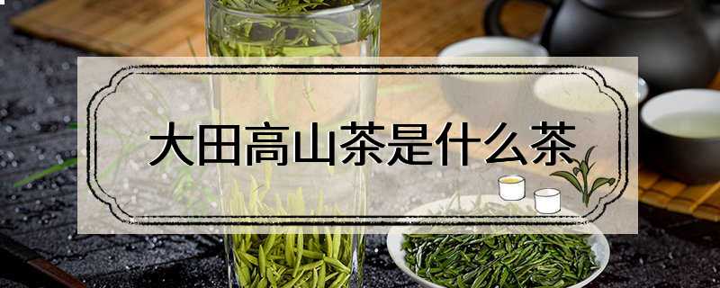 大田高山茶是什么茶