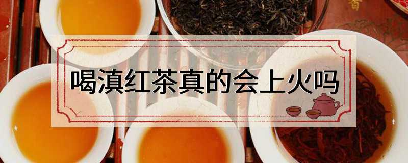 喝滇红茶真的会上火吗