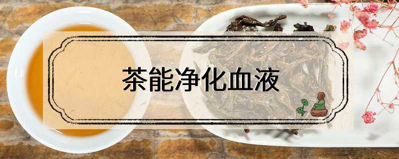 茶能净化血液