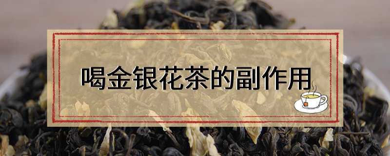 喝金银花茶的副作用