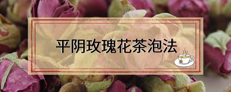 平阴玫瑰花茶泡法