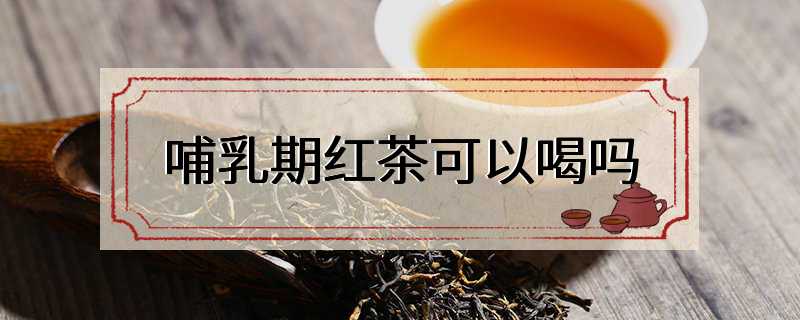 哺乳期红茶可以喝吗