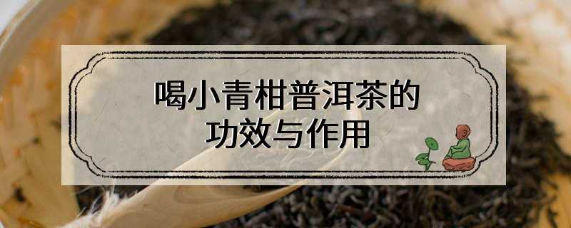 喝小青柑普洱茶的功效与作用