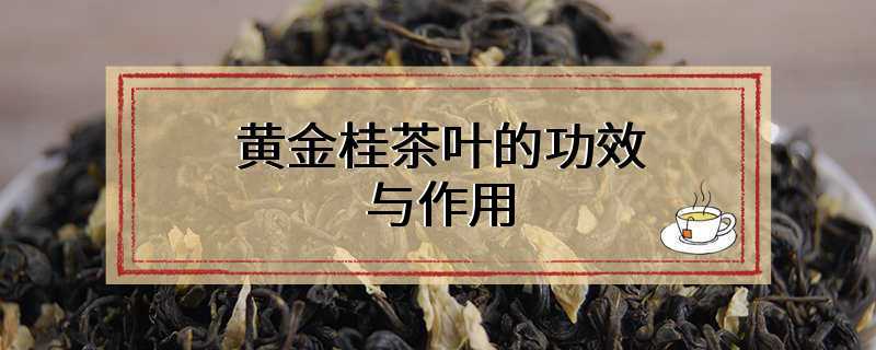 黄金桂茶叶的功效与作用