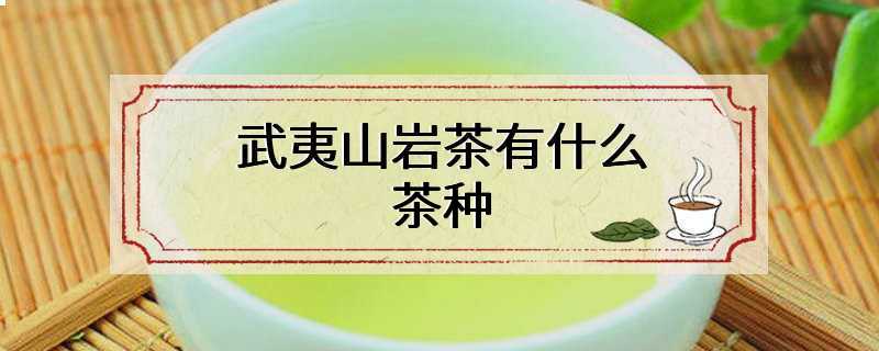 武夷山岩茶有什么茶种