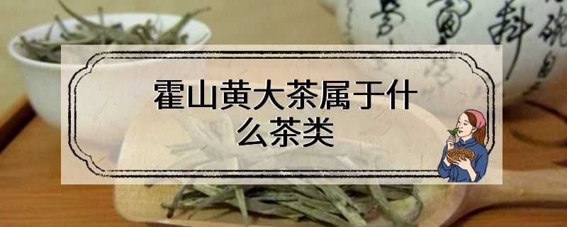 霍山黄大茶属于什么茶类