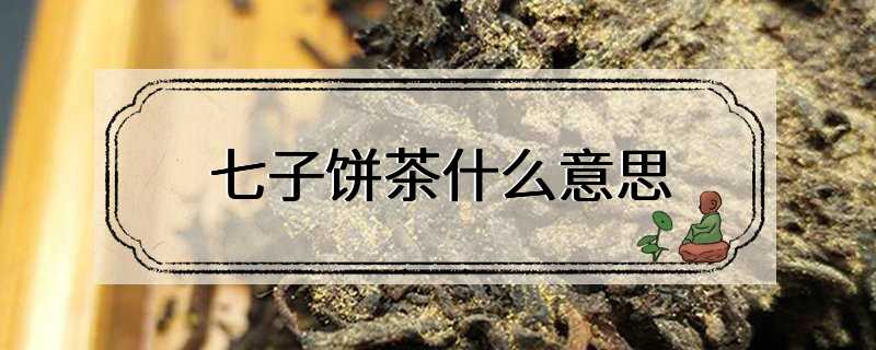 七子饼茶什么意思