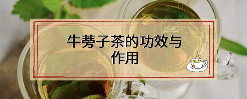 牛蒡子茶的功效与作用