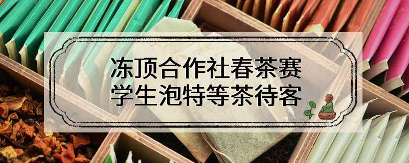 冻顶合作社春茶赛 学生泡特等茶待客