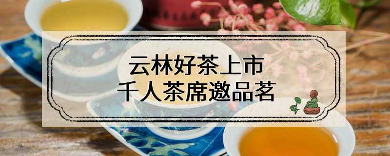 云林好茶上市 千人茶席邀品茗