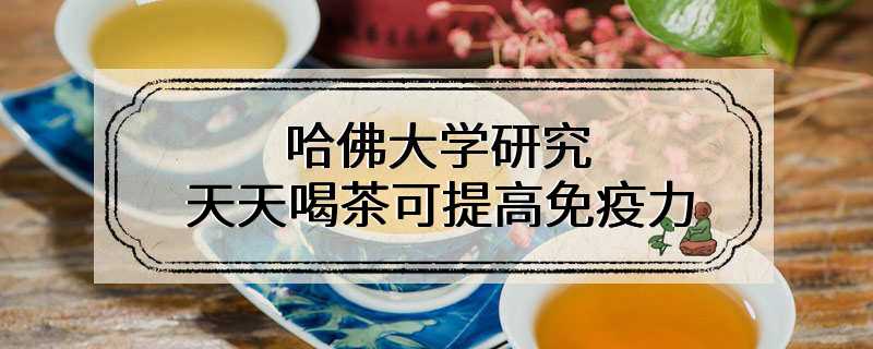 哈佛大学研究天天喝茶可提高免疫力