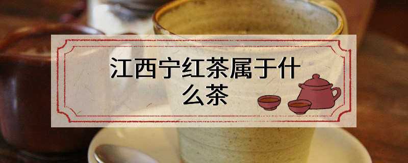 江西宁红茶属于什么茶