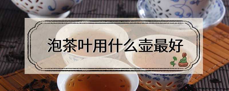 泡茶叶用什么壶最好