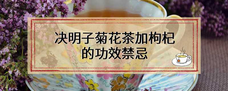 决明子菊花茶加枸杞的功效禁忌