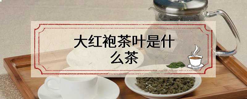 大红袍茶叶是什么茶