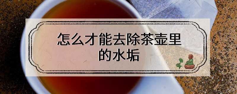 怎么才能去除茶壶里的水垢